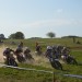 DSC_3994.jpg